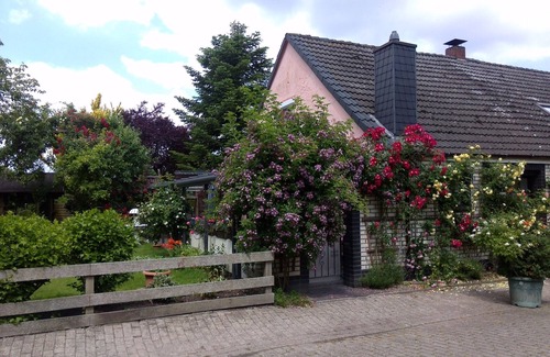 Wangerland Apartment | Vacation apartment 1, 35 sqm, 1 bedroom, living/bedroom, covered terrace, max. 3 persons