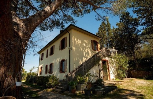 Suvereto Apartment | Vacation apartment/apartment for 3 guests with 30m² in Suvereto (176163)
