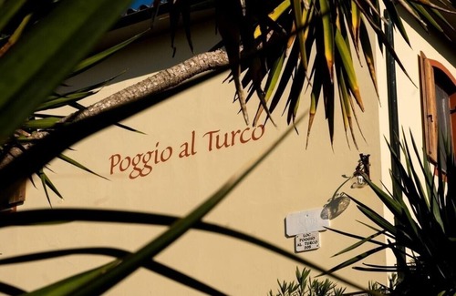 Suvereto Apartment | Vacation apartment/apartment for 3 guests with 30m² in Suvereto (176163)