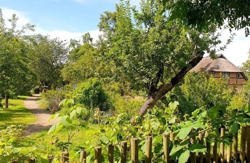 Velgast Apartment | Vacation apartment/apartment for 3 guests with 85m² in Starkow (267591)