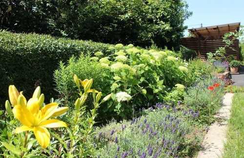 Darscheid Apartment | Vacation apartment at Irlenbach - 5-bed vacation apartment bathroom/WC, 3 bedrooms