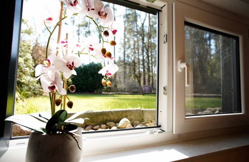Kuesten Apartment | Vacation apartment close to nature ideal for relaxation
