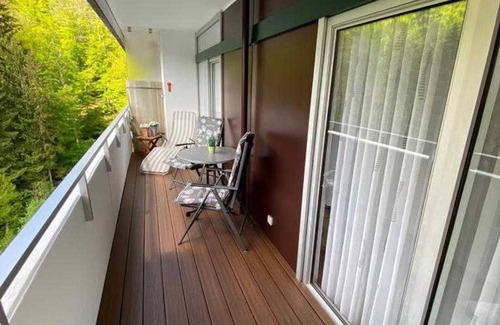 Bad Harzburg Apartment | Vacation apartment from Damm