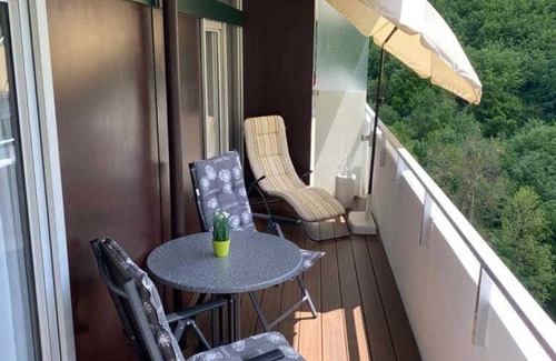 Bad Harzburg Apartment | Vacation apartment from Damm