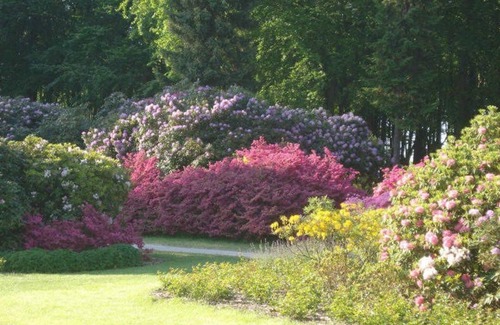 Graal Mueritz Apartment | Vacation apartment Ostseekrabbe 1a old - Behind the town hall - House Ostseekrabbe B