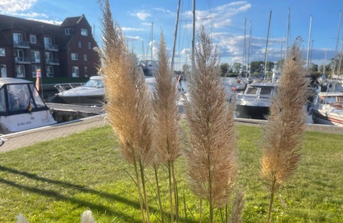 Ueckermuende Apartment | Vacation apartment/apartment for 4 guests with 54m² in Ueckermünde (55062)