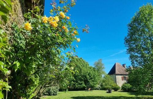 Busserolles Apartment | Vacation apartment/apartment for 3 guests with 60m² in Busserolles (71236)