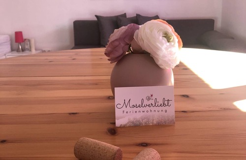 Issel Apartment | Vacation apartment in love with the Moselle - Apartment, shower, toilet, 1 bedroom