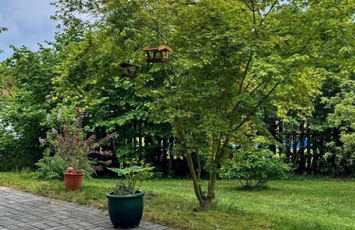 Hademstorf Apartment | Vacation apartment Roswitha 120 m² in the Lüneburg Heath, large garden/terrace