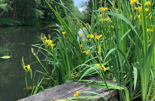 Schlepzig Apartment | Vacation apartment Verena Wunderlich - Holiday apartment