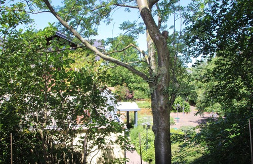 Mainz-Bingen Apartment | Vacation apartment Weingut Strub