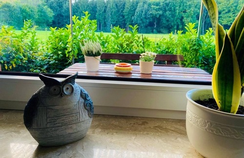 Sogel House | Vacation home for 4 guests with 70m² in Sögel (297795)