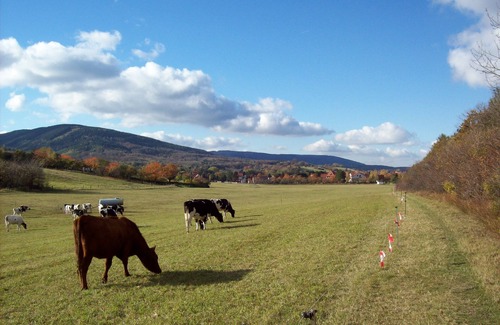 Ilsenburg House | Vacation home in Darlingerode/2.5 km to Wernigerode/very quiet location