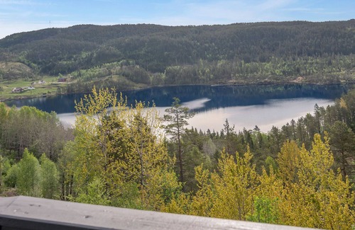 Aseral House | Vacation home Solbu by Interhome