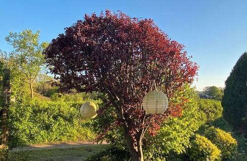 Kosel House | Vacation Home "Tiny Haus An Der Schlei" with Lake View, Private Terrace & Wi-Fi