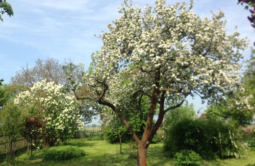 Gusow Apartment | Vacation room Apfelbaum at the Hollerhof-Oderbruch