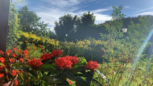 Araras House | Vale das Estrelas - vale das videiras - araras