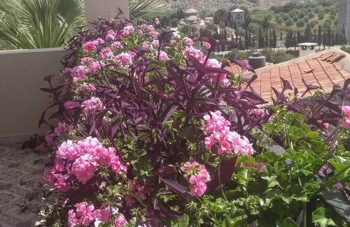 Gouves House | VALLEY VIEW HOUSE Luxury residence Anopolis,5mins to beach resort, theme parks!
