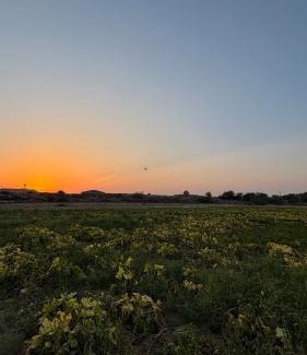 Ras Al Khaimah Other | Vanstay glamping in a 25 acre farm