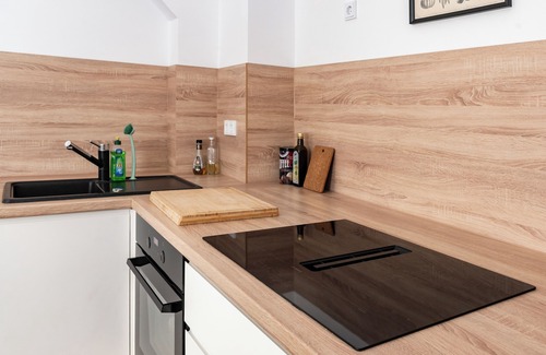 Leipziger Vorstadt Apartment | Vaulted apartment with terrace in Dresden Neustadt Your stylish temporary home