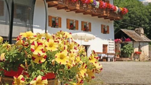 Villnoss Bed & Breakfast | Veltierhof Villnöß