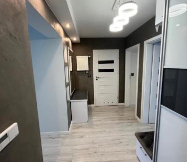 Zamosc Apartment | Venus