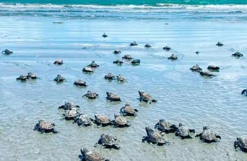 Luis Correia House | Vereda Tropical Piauí