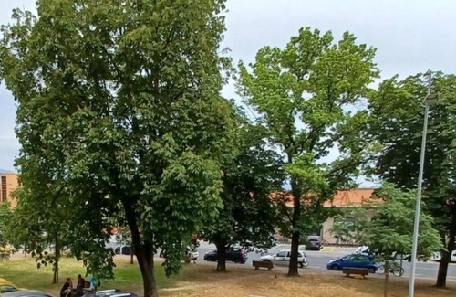 Viareggio Apartment | very bright apartment in Viareggio centre