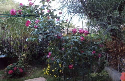 Ollioules House | VERY NICE SITE IN THE VAR- PLEASANT HOUSE-