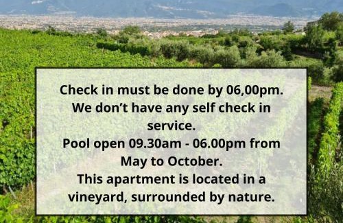 Boscotrecase House | Vesuvio Inn Guest House e Wine Experience