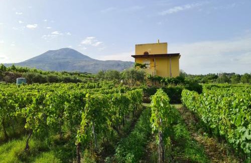 Boscotrecase House | Vesuvio Inn Guest House e Wine Experience