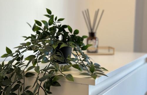 De Beauvoir Apartment | Vibrant City Apt 2 Bed in Hoxton and Shoreditch