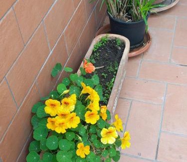 Torre Annunziata Apartment | Vient e mare (Sea wind)