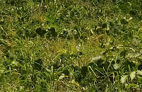 Tambau Apartment | View of the sea in Tambau