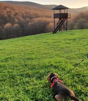 Central Serbia House | Vikendica Kločanica