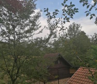 Ljubovija House | Vikendica na Drini DRINSKI ODMOR