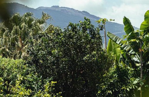 Chacaras Itapetinga House | Vila Balangandã