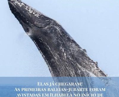 Ilhabela Hotel | Vila Bambu Ilhabela, Santa Tereza