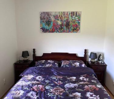 Zlatibor Villa | Vila Coka