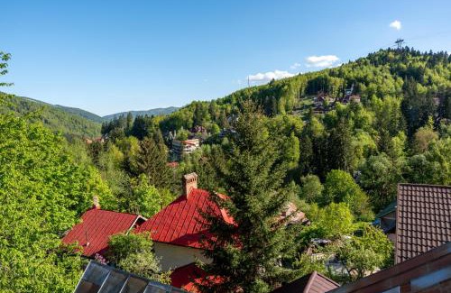 Sinaia Apartment | Vila Ferdinand - Apartament Iarina