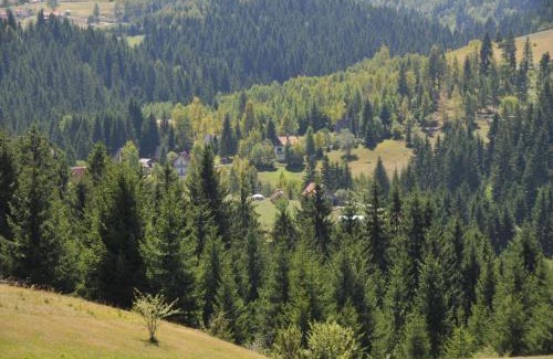 Brdo Hotel | Vila Jelena Zlatar Nova varoš