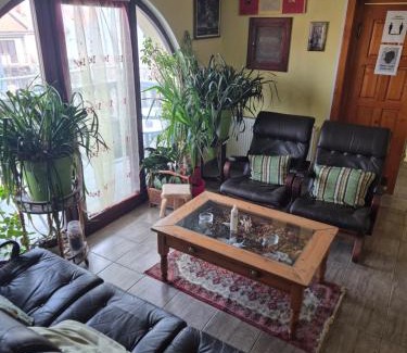 Zajecar House | Vila Vienna