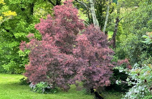 Semillac Villa | Villa '2 Chambres - 4 Voyageurs' with Private Terrace, Private Garden and Wi-Fi