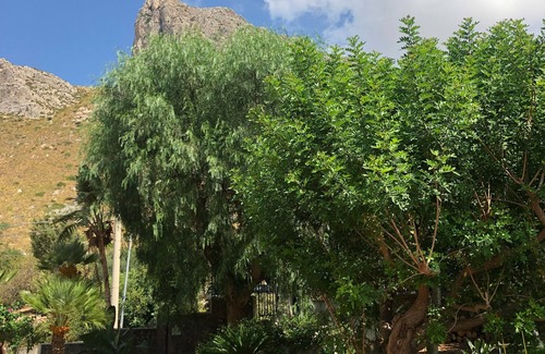 Macari Villa | Villa Aileen in a subtropical garden near the most beautiful beach in Italy