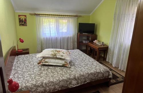 Caciulata Villa | Villa Alexandra