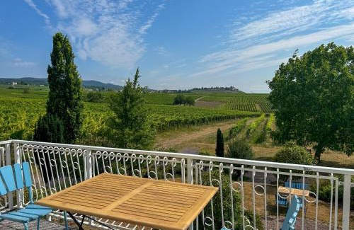 Geisenheim Villa | Villa am Weinberg mit Garten großzügig und exklusiv