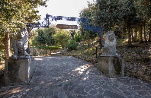 Ansedonia Villa | Villa Ammiraglia Ansedonia Prestigious villa with park and pool- for 8 people