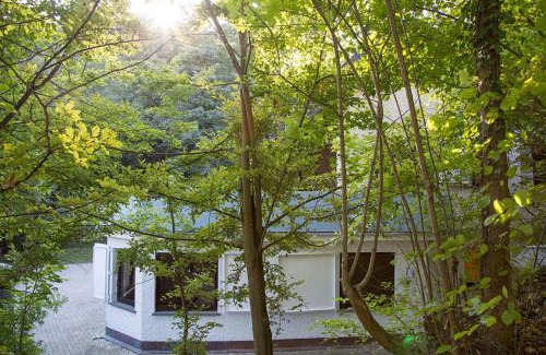 Sankt Goar Villa | Villa an der Loreley