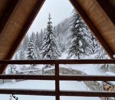 Strellc i Epërm Villa | Villa Belegu Mountain