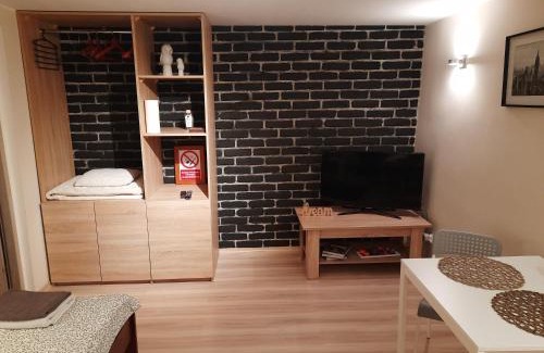 Grunwald Apartment | Villa Belveder